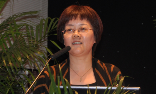 云海游戏互联总经理、首席规划师 郑爱军