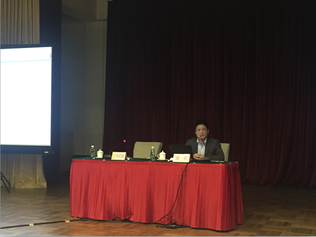 北京云海游戏互联信息顾问有限公司董事长、首席研究员杨冰之在会议中做了《互联网+下政府网站集约化建设思路》主题培训
