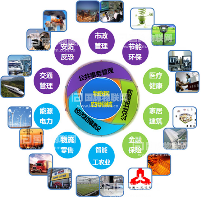 杨冰之：重视物联网在关键产业的应用