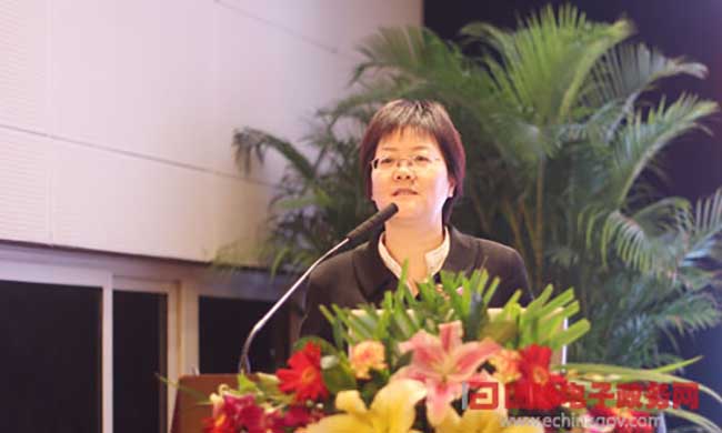 云海游戏互联总经理、首席规划师郑爱军进行《基于大数据的政府网站平台规划评测新思路》为题的演讲