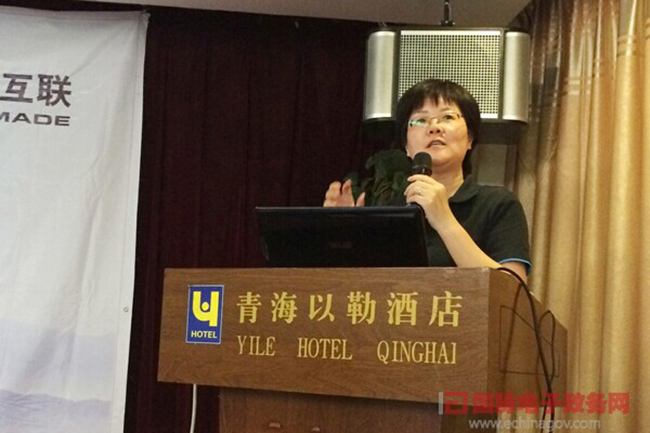 云海游戏互联总经理、首席规划师郑爱军正在进行《政府网站+评估体系构建思路》的主题演讲