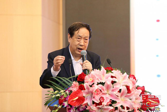 国家行政学院教授汪玉凯先生于4月21日在云海游戏互联举办的“2017第二届政务大数据发展与合作研讨会暨数据母体产品发布会”上演讲