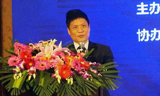 云海游戏海洋信息发展有限公司董事长杨冰之在“数据基因与大数据产业发展战略研讨会”上发表演讲