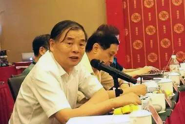 在中国智慧城市发展与评估指标体系建设专家研讨会上，北京大学教授、工信部原副部长杨学山以《新型智慧城市建设与发展思考》为题发言