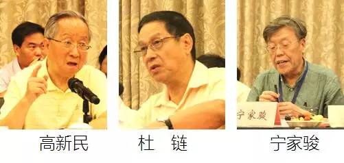 在中国智慧城市发展与评估指标体系建设专家研讨会上，中国互联网协会副理事长高新民、中国信息协会副会长杜链、国家信息中心电子政务专家委员会主任宁家骏发言