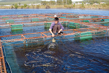 黑龙江抚远:做强渔产业发扬鱼文化